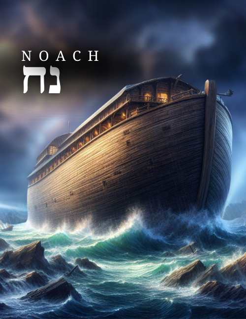 Noach